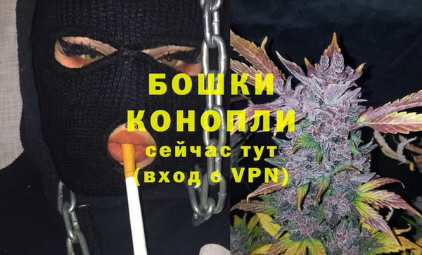Альфа ПВП Няндома