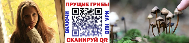 гидра ONION  Светлый  Псилоцибиновые грибы Psilocybe 